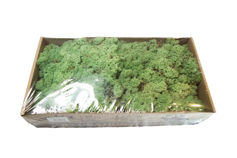 Picture of Florist Icelandic Moss Mint Green 500grams